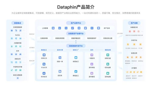 面向2025 數(shù)據(jù)戰(zhàn)略制勝，必備數(shù)據(jù)中臺(tái)系統(tǒng)選型與數(shù)據(jù)處理服務(wù)深度解析